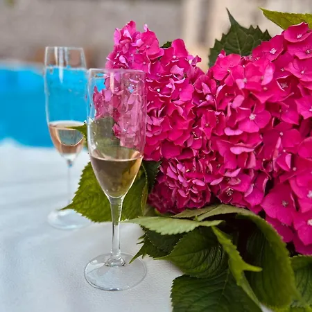 Apartament Djordje Budva
